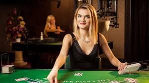 536bet